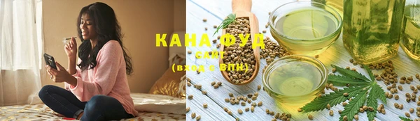 винт Лагань