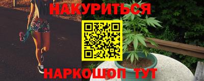 винт Нальчик