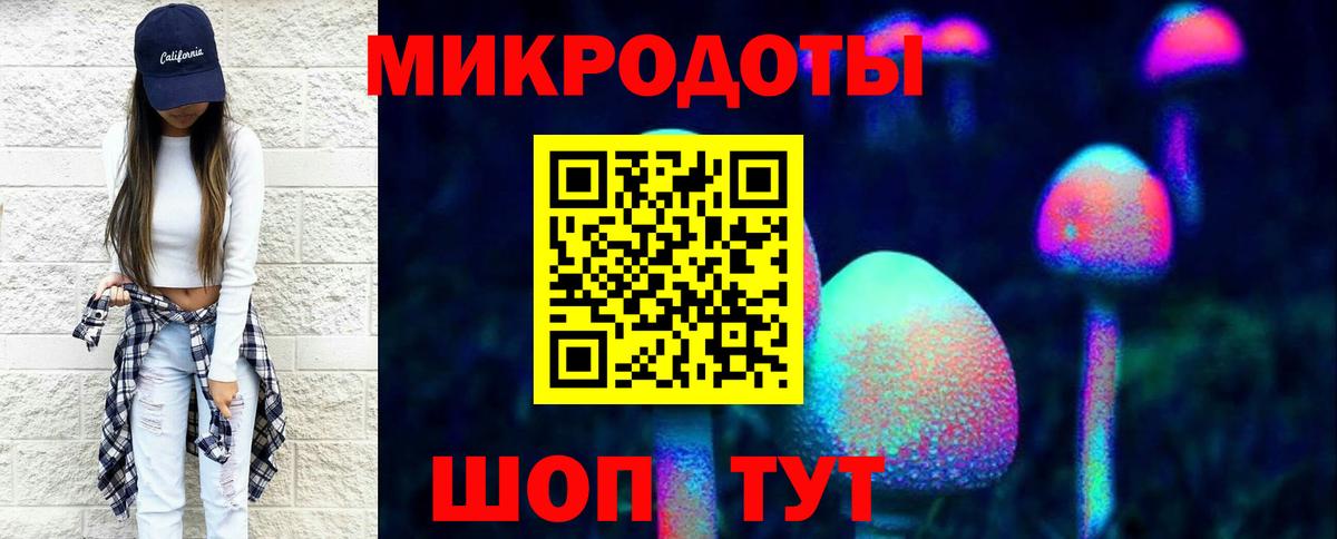 Евпатория  Псилоцибиновые грибы Psilocybine cubensis  Вход с VPN 